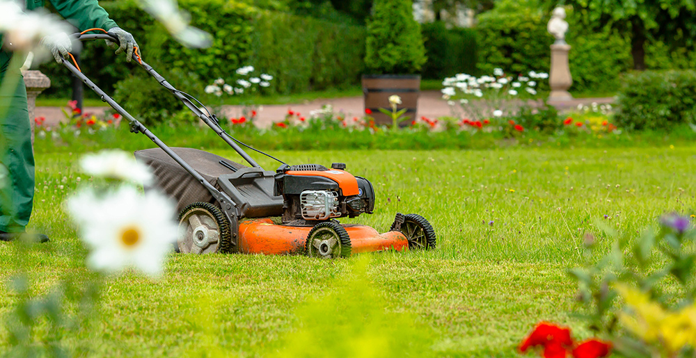 entretenir son jardin