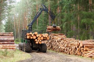 Qui consulter pour une exportation de bois 